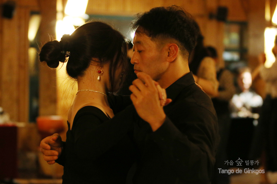 [숲 밀롱가 인터뷰] 숲의 품에서 다시 춘 탱고, 마법이 된 야외 무도회