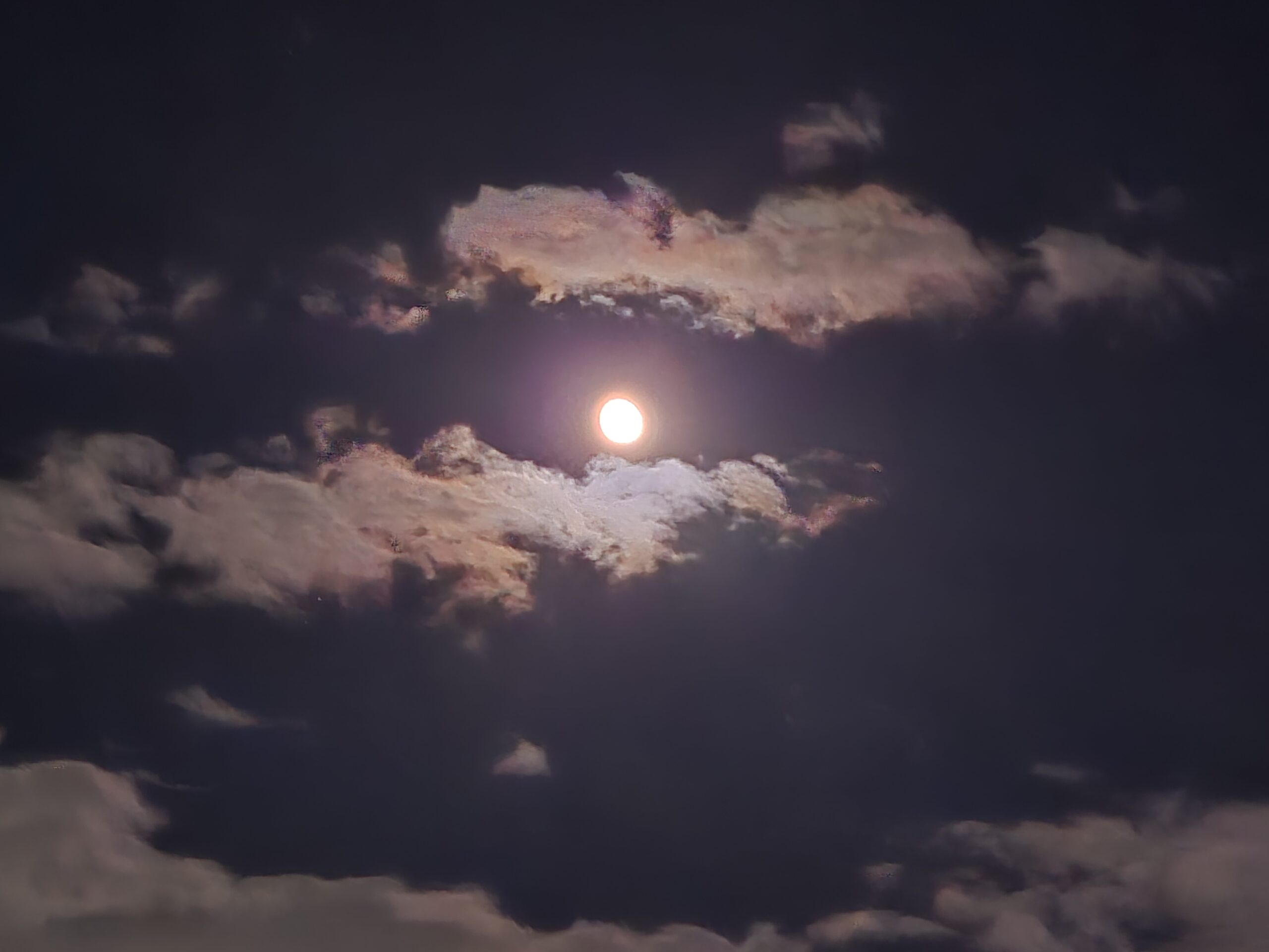 [2024년 가을 숲 밀롱가] 은행나무 아래서 보낸 마법 같은 이틀: 2024 가을 숲 밀롱가 기록