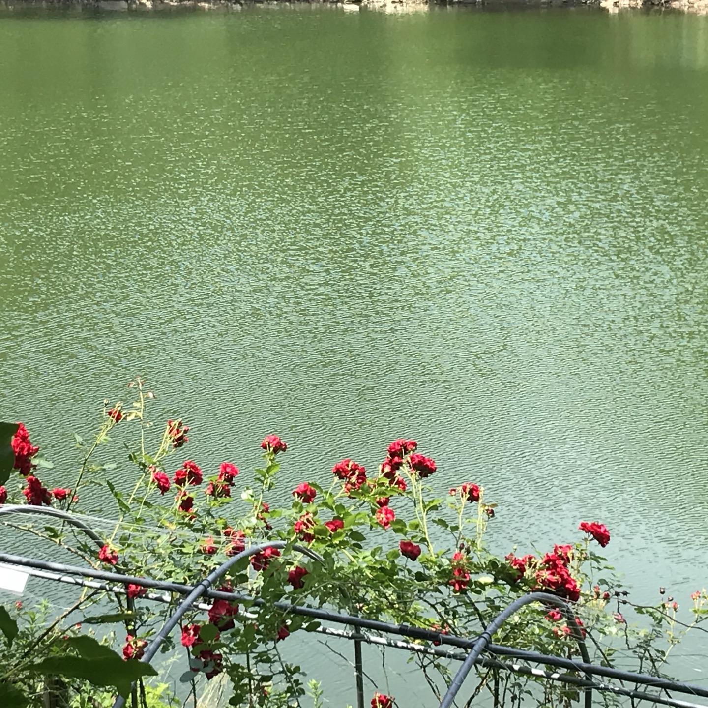 [이그녹스 3월 밀롱가] 아지랑이 피어나는 계절, 아르헨티나의 숨결을 걷다