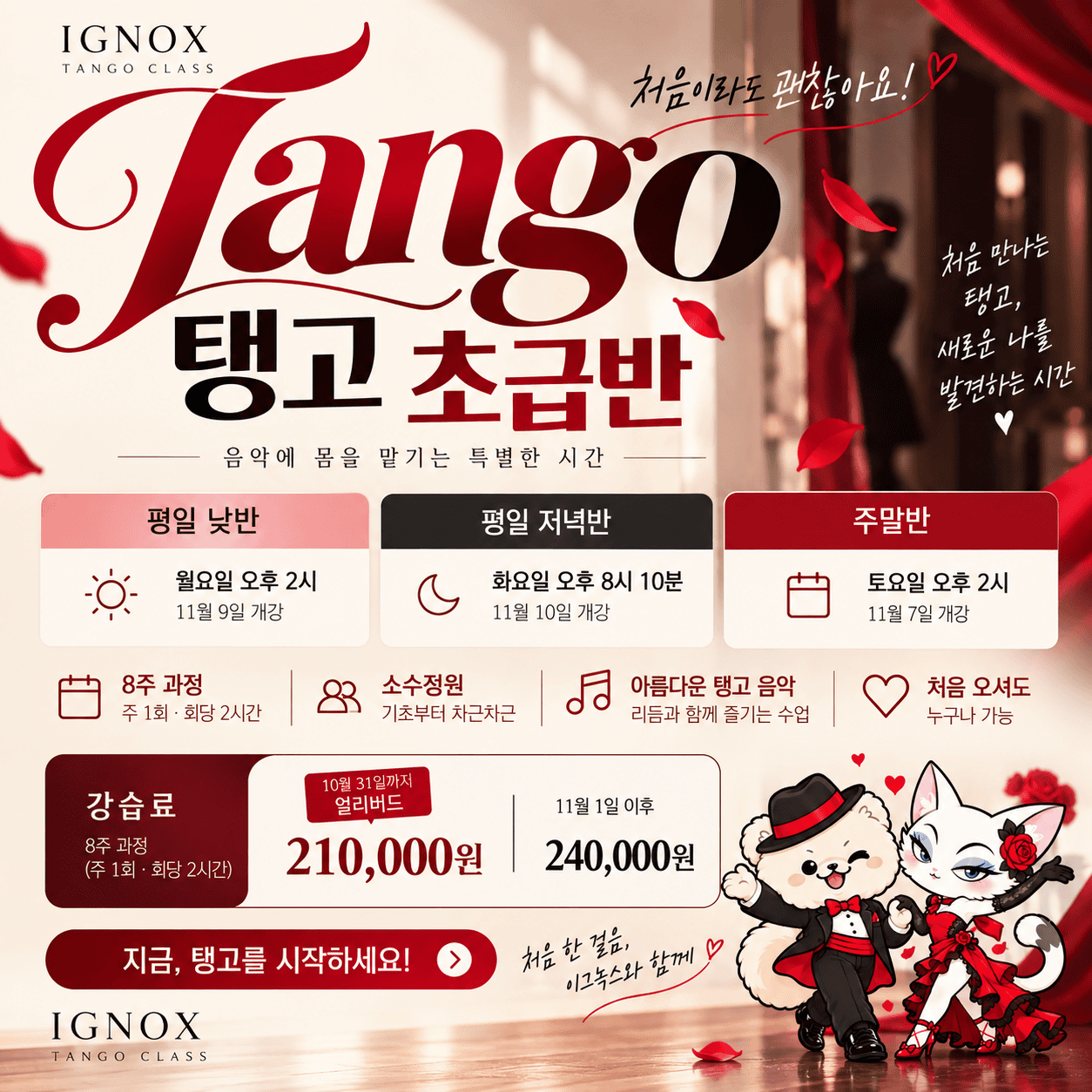 2026년 11월 탱고 초급반 모집 ㅣ 처음 만나는 아르헨티나 탱고, 걷기부터 시작합니다.